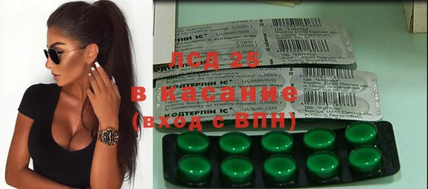 PSILOCYBIN Новодвинск