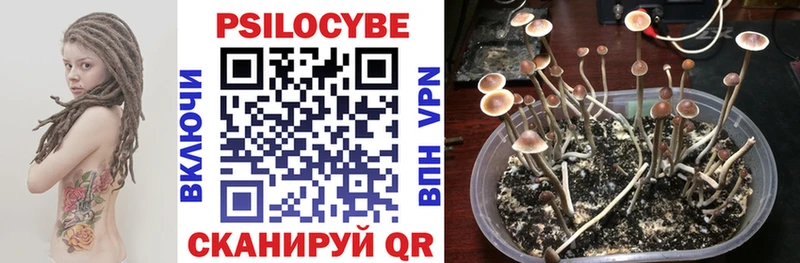 Галлюциногенные грибы Cubensis  omg сайт  Хвалынск  где продают  